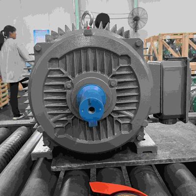 110V High Efficient Small AC Electric Motor For Metal Rolling Mill