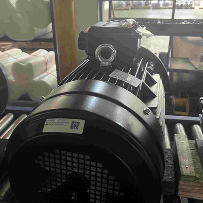 Dust Proof High Voltage Induction Motors
