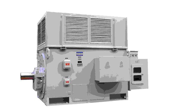 Dust Proof High Voltage Induction Motors