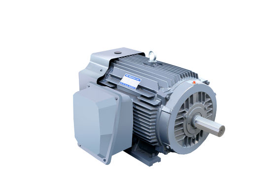 Premium High Efficiency Three Phase Induction AC Electric Asynchronous Motor