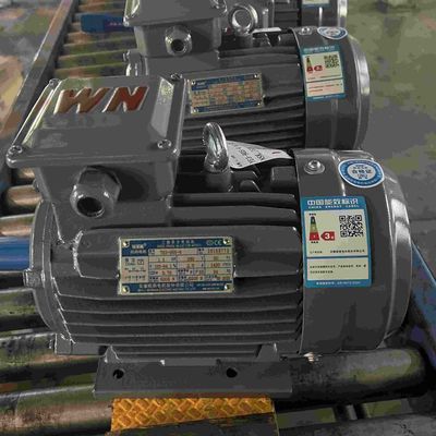 110V High Efficient Small AC Electric Motor For Metal Rolling Mill