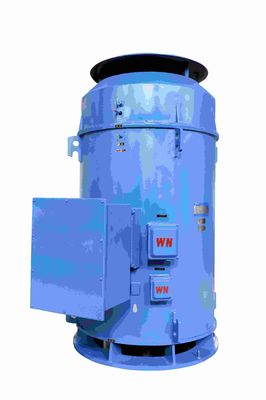 Three Phase Medium Voltage Induction Motor High Voltage Explosion Proof