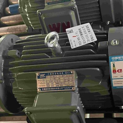 IE3 Low Voltage Explosion Proof Electrical Motor For Explosive Gas